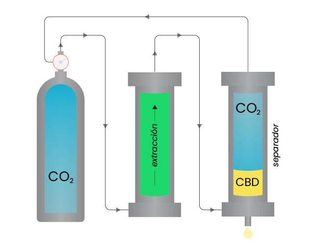 como se extrae el CBD con CO2 supercrítico