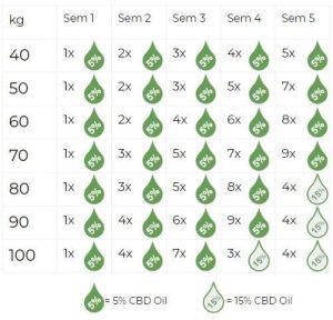 Guía de dosis de aceite cbd recomendadas según tu peso.